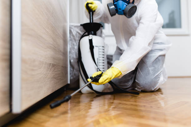 Best Pest Inspection Near Me  in Carrollton, TX