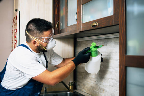 Best Affordable Pest Control Services  in Carrollton, TX