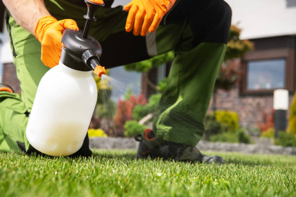 Best Insect Control  in Carrollton, TX
