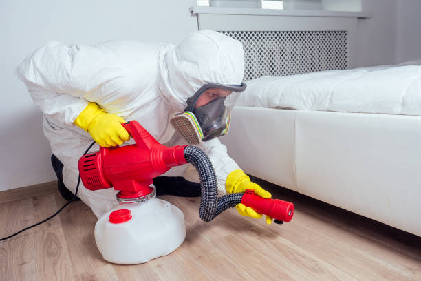 Best Local Pest Control Services  in Carrollton, TX