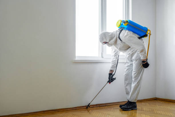 Reliable Carrollton, TX Pest Control Solutions