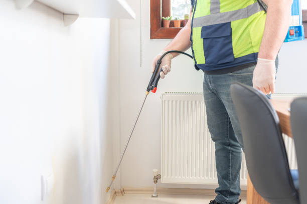 Best Termite Control Services  in Carrollton, TX