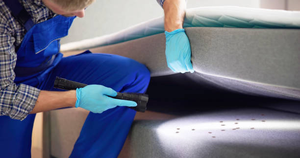 Best Wasp Removal Services  in Carrollton, TX