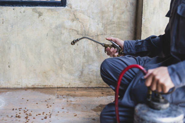 Best Flea Control Services  in Carrollton, TX